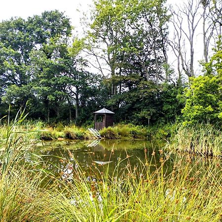 Charming Tranquil Shepherds Hut With Lakeside Balcony 'Roach' Uckfield Exterior foto